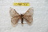  ( - BC-RBP 7820)  @13 [ ] Copyright (2013) Ron Brechlin coll. Ron Brechlin, Pasewalk