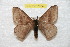  ( - BC-RBP 7834)  @13 [ ] Copyright (2013) Ron Brechlin coll. Ron Brechlin, Pasewalk