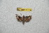  ( - BC-RBP 11634)  @11 [ ] Copyright (2020) Ron Brechlin Research Collection of Ron Brechlin