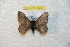  ( - BC-RBP 7842)  @13 [ ] Copyright (2013) Ron Brechlin coll. Ron Brechlin, Pasewalk