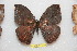  ( - BC-RBP 11642)  @11 [ ] Copyright (2020) Ron Brechlin Research Collection of Ron Brechlin
