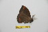  ( - BC-RBP 11667)  @11 [ ] Copyright (2020) Ron Brechlin Research Collection of Ron Brechlin