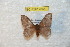  ( - BC-RBP 7866)  @13 [ ] Copyright (2013) Ron Brechlin coll. Ron Brechlin, Pasewalk