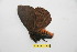  ( - BC-RBP 11673)  @11 [ ] Copyright (2020) Ron Brechlin Research Collection of Ron Brechlin
