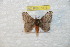  ( - BC-RBP 7901)  @13 [ ] Copyright (2013) Ron Brechlin coll. Ron Brechlin, Pasewalk