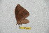  ( - BC-RBP 8014)  @12 [ ] Copyright (2013) Ron Brechlin Research Collection of Ron Brechlin