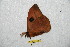  ( - BC-RBP 8022)  @12 [ ] Copyright (2013) Ron Brechlin Research Collection of Ron Brechlin