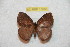  ( - BC-RBP 11688)  @11 [ ] Copyright (2020) Ron Brechlin Research Collection of Ron Brechlin