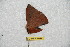  ( - BC-RBP 8029)  @12 [ ] Copyright (2013) Ron Brechlin Research Collection of Ron Brechlin