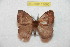  ( - BC-RBP 11690)  @11 [ ] Copyright (2020) Ron Brechlin Research Collection of Ron Brechlin