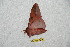  ( - BC-RBP 8033)  @13 [ ] Copyright (2013) Ron Brechlin Research Collection of Ron Brechlin