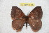  ( - BC-RBP 11700)  @11 [ ] Copyright (2020) Ron Brechlin Research Collection of Ron Brechlin