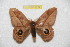  ( - BC-RBP 8074)  @13 [ ] Copyright (2013) Ron Brechlin Research Collection of Ron Brechlin
