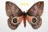  ( - BC-RBP 11747)  @11 [ ] Copyright (2020) Ron Brechlin Research Collection of Ron Brechlin