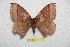  ( - BC-RBP 11752)  @11 [ ] Copyright (2020) Ron Brechlin Research Collection of Ron Brechlin