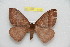  ( - BC-RBP 11756)  @11 [ ] Copyright (2020) Ron Brechlin Research Collection of Ron Brechlin