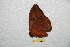 ( - BC-RBP 8101)  @12 [ ] Copyright (2013) Ron Brechlin Research Collection of Ron Brechlin