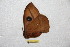  ( - BC-RBP 8104)  @11 [ ] Copyright (2013) Ron Brechlin Research Collection of Ron Brechlin