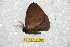  ( - BC-RBP 11764)  @11 [ ] Copyright (2020) Ron Brechlin Research Collection of Ron Brechlin