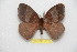  ( - BC-RBP 11772)  @11 [ ] Copyright (2020) Ron Brechlin Research Collection of Ron Brechlin