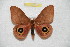  ( - BC-RBP 8129)  @11 [ ] Copyright (2013) Ron Brechlin Research Collection of Ron Brechlin