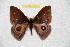  ( - BC-RBP 8131)  @13 [ ] Copyright (2013) Ron Brechlin Research Collection of Ron Brechlin
