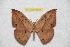  ( - BC-RBP 8139)  @12 [ ] Copyright (2013) Ron Brechlin Research Collection of Ron Brechlin