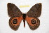  ( - BC-RBP 8158)  @13 [ ] Copyright (2013) Ron Brechlin Research Collection of Ron Brechlin
