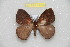  ( - BC-RBP 11783)  @11 [ ] Copyright (2020) Ron Brechlin Research Collection of Ron Brechlin