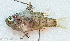  ( - CM003_005)  @11 [ ] CreativeCommons Attribution ShareAlike (2021) Institut Halieutique et des Sciences Marines Institut Halieutique et des Sciences Marines