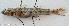  ( - CM003_008)  @11 [ ] CreativeCommons Attribution ShareAlike (2021) Institut Halieutique et des Sciences Marines Institut Halieutique et des Sciences Marines