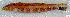  ( - CM010_017)  @11 [ ] CreativeCommons - Attribution Share-Alike (2025) Institut Halieutique et des Sciences Marines Institut Halieutique et des Sciences Marines