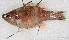  ( - CM011_020)  @11 [ ] CreativeCommons Attribution ShareAlike (2022) Institut Halieutique et des Sciences Marines Institut Halieutique et des Sciences Marines