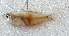  ( - CM020_017)  @11 [ ] CreativeCommons Attribution ShareAlike (2022) Institut Halieutique et des Sciences Marines Institut Halieutique et des Sciences Marines