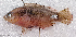  ( - CM023_003)  @11 [ ] CreativeCommons Attribution ShareAlike (2022) Institut Halieutique et des Sciences Marines Institut Halieutique et des Sciences Marines