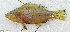  ( - CM023_004)  @11 [ ] CreativeCommons Attribution ShareAlike (2022) Institut Halieutique et des Sciences Marines Institut Halieutique et des Sciences Marines