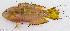  ( - CM023_005)  @11 [ ] CreativeCommons Attribution ShareAlike (2022) Institut Halieutique et des Sciences Marines Institut Halieutique et des Sciences Marines