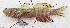  ( - CM023_012)  @11 [ ] CreativeCommons Attribution ShareAlike (2022) Institut Halieutique et des Sciences Marines Institut Halieutique et des Sciences Marines