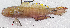  ( - CM024_004)  @11 [ ] CreativeCommons Attribution ShareAlike (2022) Institut Halieutique et des Sciences Marines Institut Halieutique et des Sciences Marines