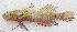 ( - CM025_013)  @11 [ ] CreativeCommons Attribution ShareAlike (2022) Institut Halieutique et des Sciences Marines Institut Halieutique et des Sciences Marines
