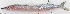  ( - CM025_022)  @11 [ ] CreativeCommons Attribution ShareAlike (2022) Institut Halieutique et des Sciences Marines Institut Halieutique et des Sciences Marines