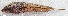  ( - CM026_036)  @11 [ ] CreativeCommons Attribution ShareAlike (2022) Institut Halieutique et des Sciences Marines Institut Halieutique et des Sciences Marines
