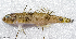  ( - CM028_005)  @11 [ ] CreativeCommons Attribution ShareAlike (2022) Institut Halieutique et des Sciences Marines Institut Halieutique et des Sciences Marines