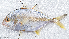  ( - CM028_009)  @11 [ ] CreativeCommons Attribution ShareAlike (2022) Institut Halieutique et des Sciences Marines Institut Halieutique et des Sciences Marines