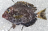  ( - CM029_012)  @11 [ ] CreativeCommons Attribution ShareAlike (2023) Institut Halieutique et des Sciences Marines Institut Halieutique et des Sciences Marines