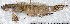  ( - CM029_021)  @11 [ ] CreativeCommons Attribution ShareAlike (2023) Institut Halieutique et des Sciences Marines Institut Halieutique et des Sciences Marines