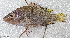  ( - CM029_024)  @11 [ ] CreativeCommons Attribution ShareAlike (2023) Institut Halieutique et des Sciences Marines Institut Halieutique et des Sciences Marines