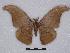  ( - BC-SK0102)  @13 [ ] Copyright (2010) Unspecified Research Collection of Steve Kohll