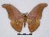  ( - BC-SK0105)  @14 [ ] Copyright (2010) Unspecified Research Collection of Steve Kohll