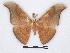  ( - BC-SK0118)  @14 [ ] Copyright (2010) Unspecified Research Collection of Steve Kohll